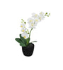 ORCHIDA ARTIFICIAL POTTED FLOWER - BLACK