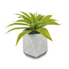 ANKOVO ARTIFICIAL PLANT + POT 27CM - GREEN